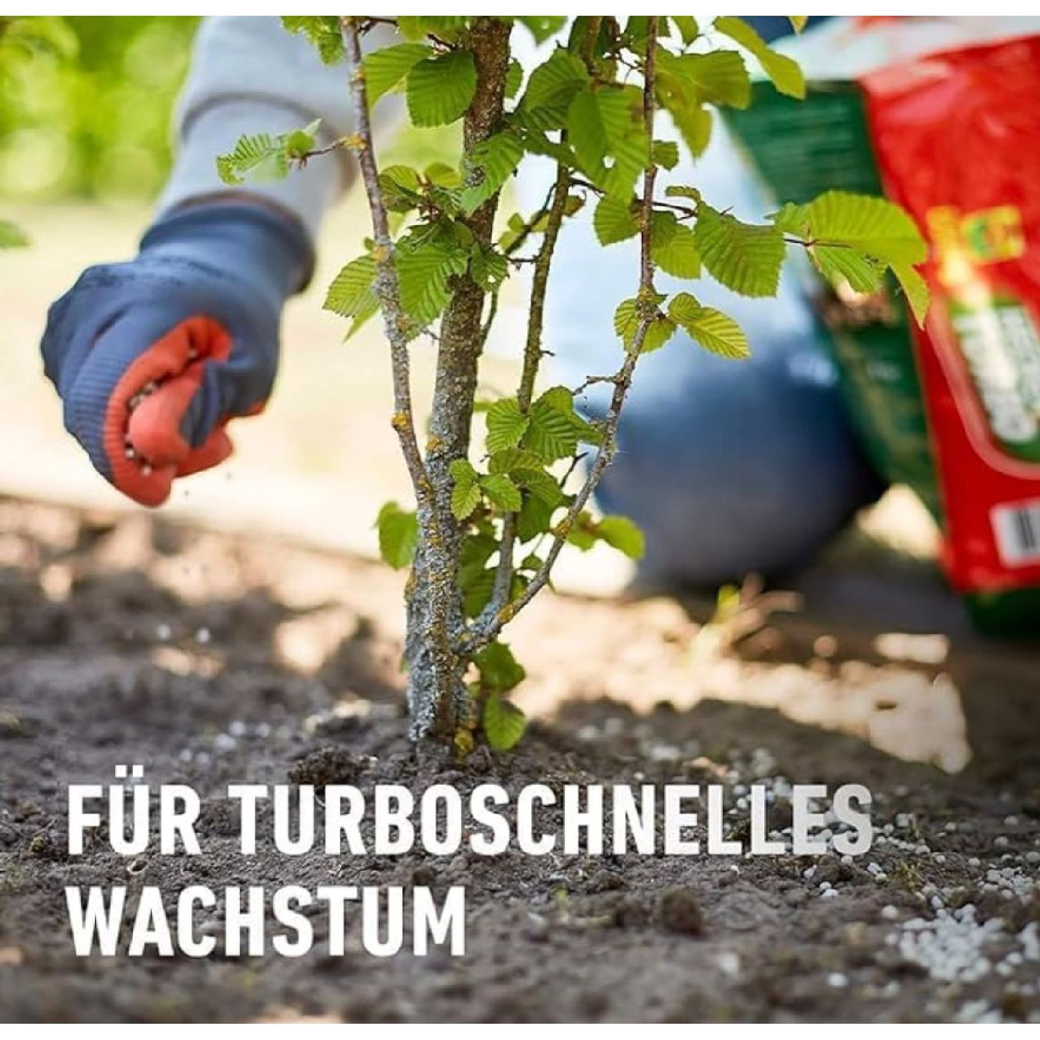 COMPO Heckenturbo, Heckendnger, Nhrstoffmix, Spezial-Dnger fr Hecken  und Neuanpflanzungen, 4 kg